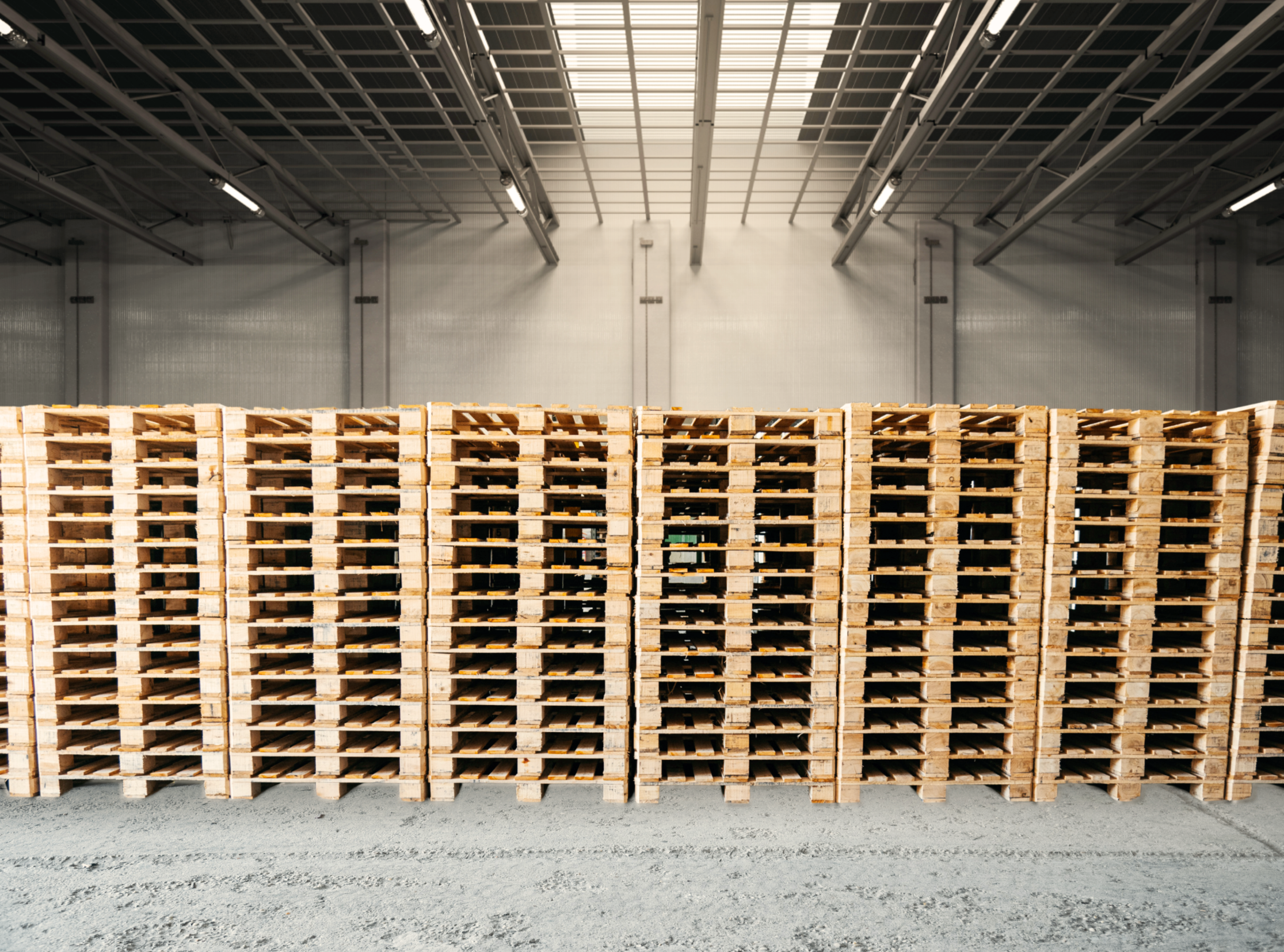 blog-pallets-standard